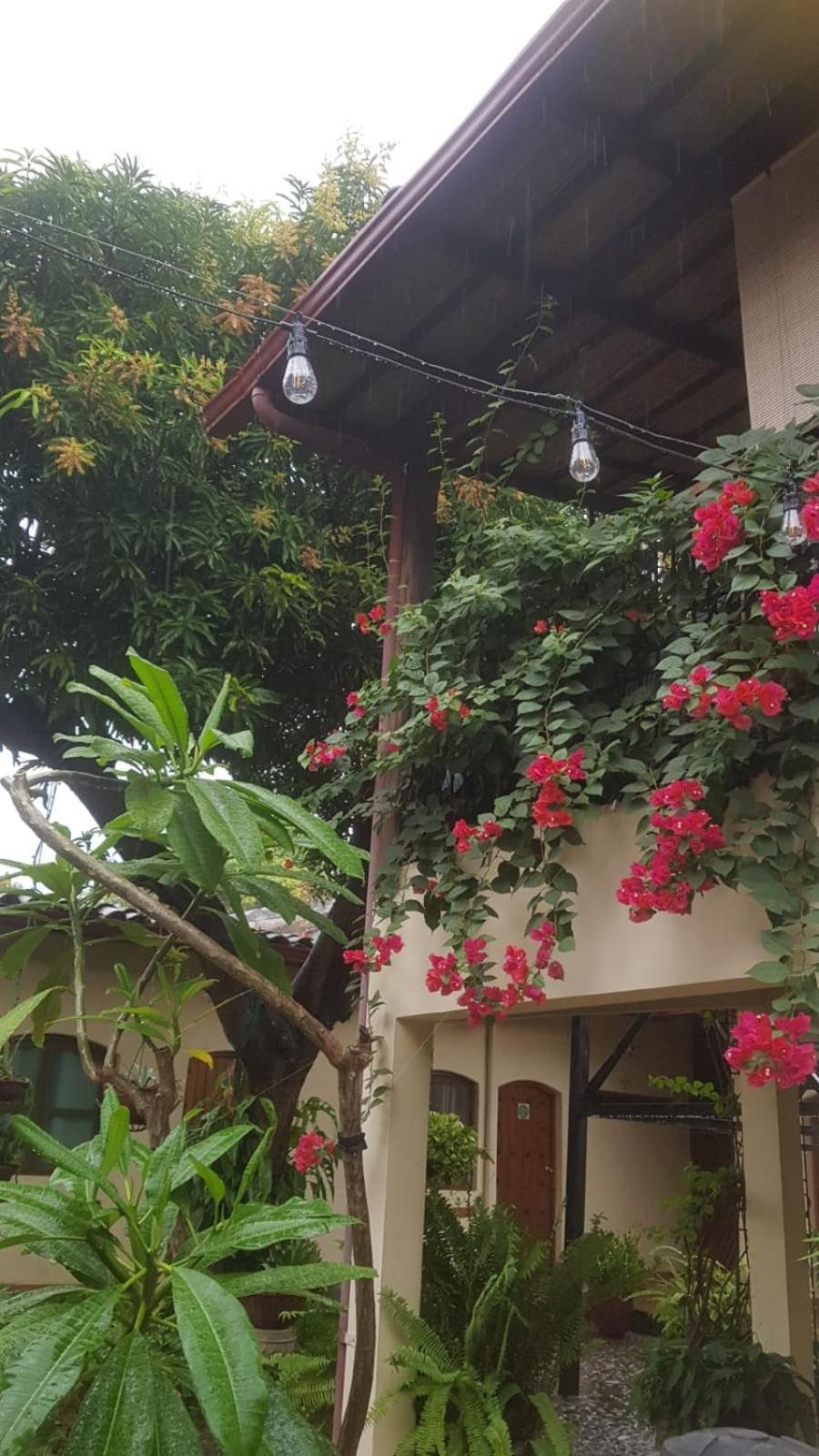 Casa Riverstone León エクステリア 写真
